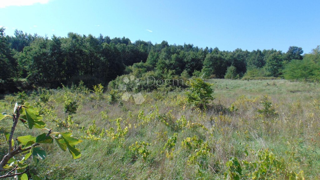 Image 6336236 - 3