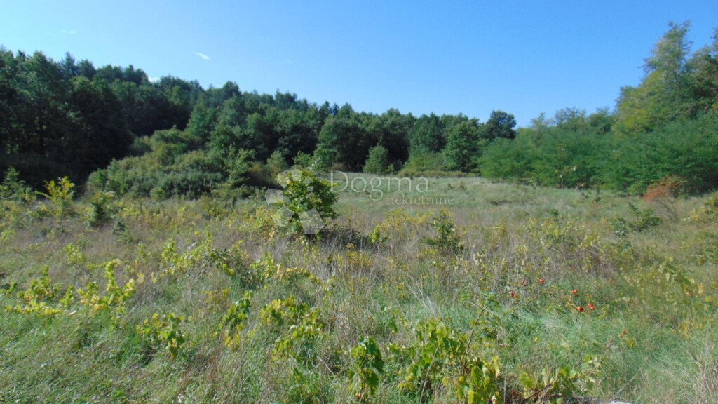 Image 6336236 - 1