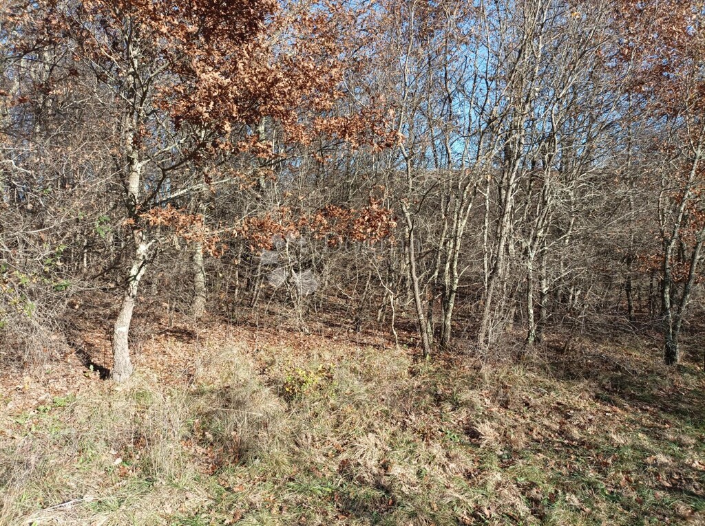 Image 6336237 - 3