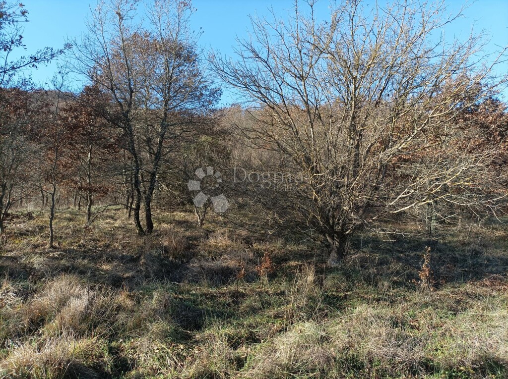Image 6336237 - 1