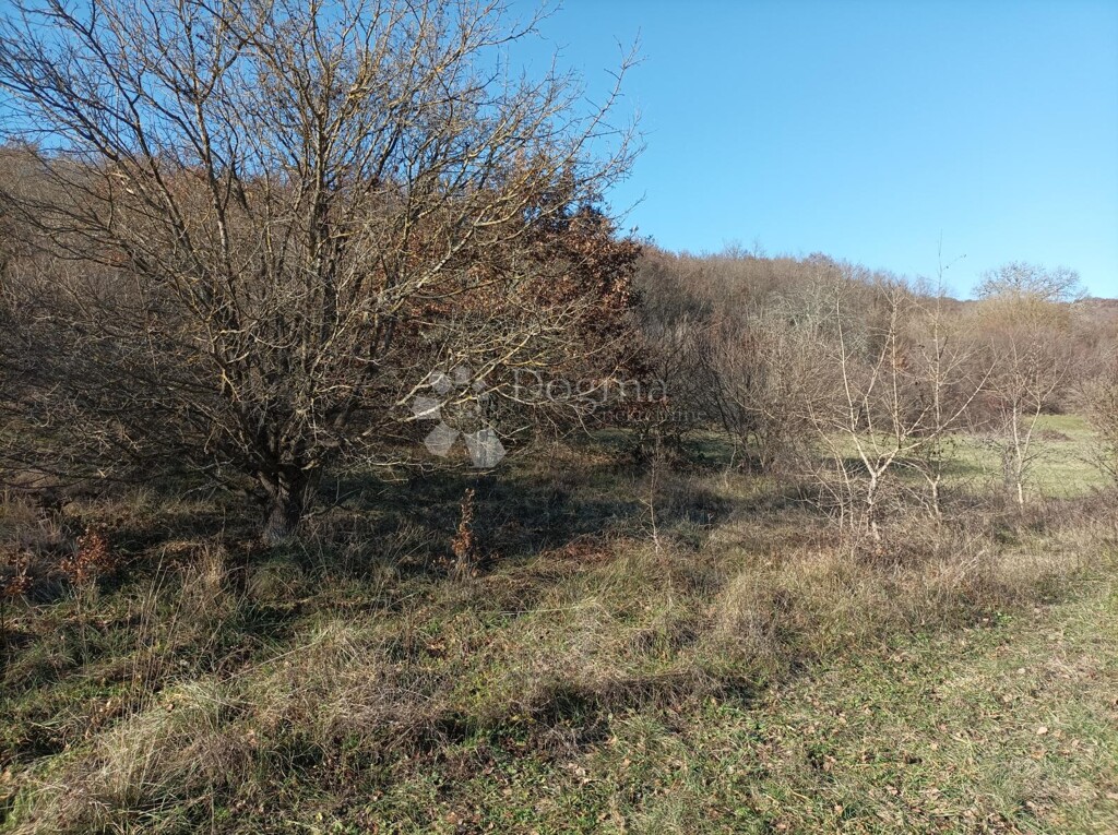 Image 6336237 - 2