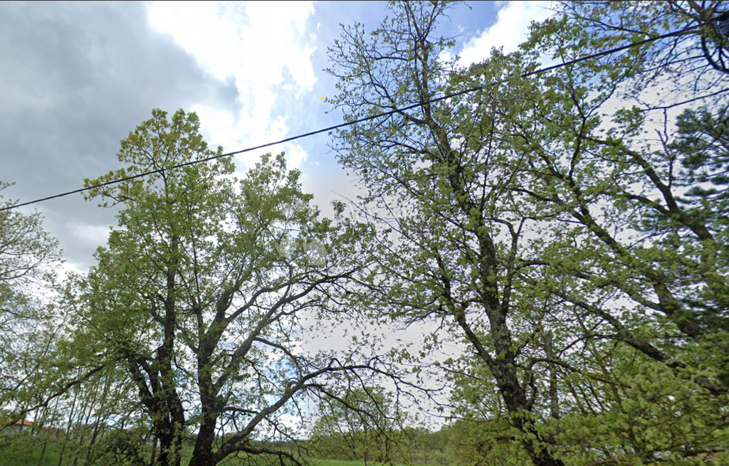 Image 6336238 - 2