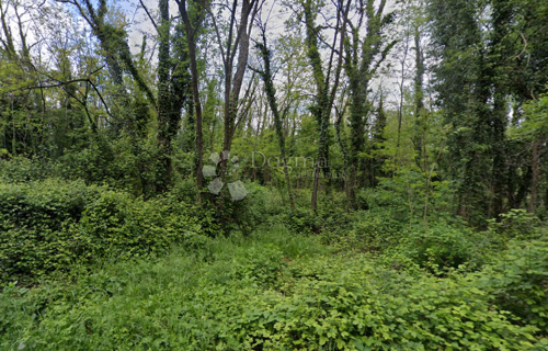 Thumbnail 6336238 - 1