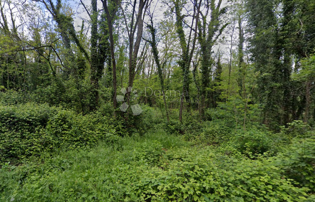 Image 6336238 - 1