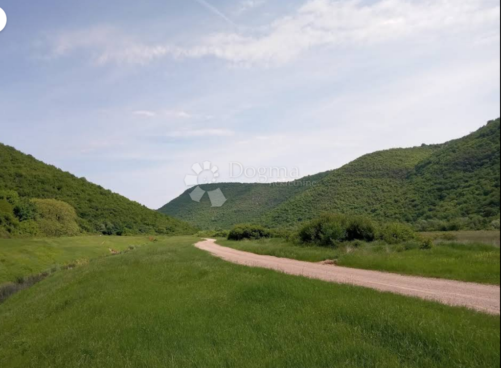 Image 6336239 - 1