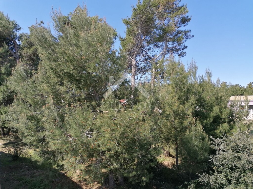 Image 6336287 - 5