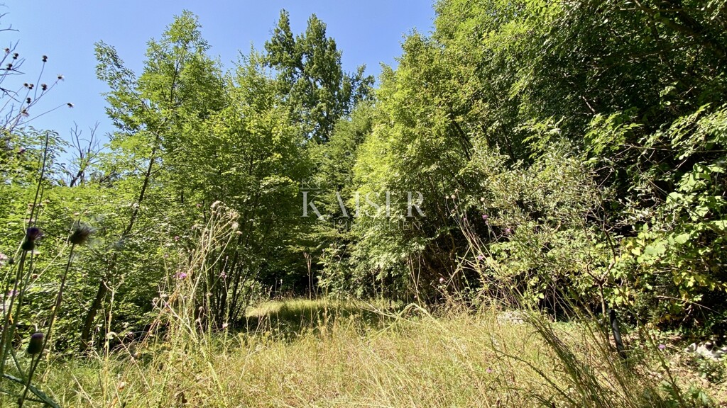 Image 6336332 - 2