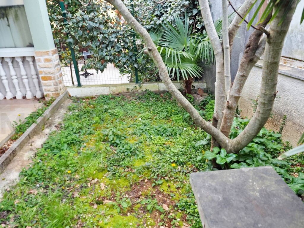 Image 6336409 - 16