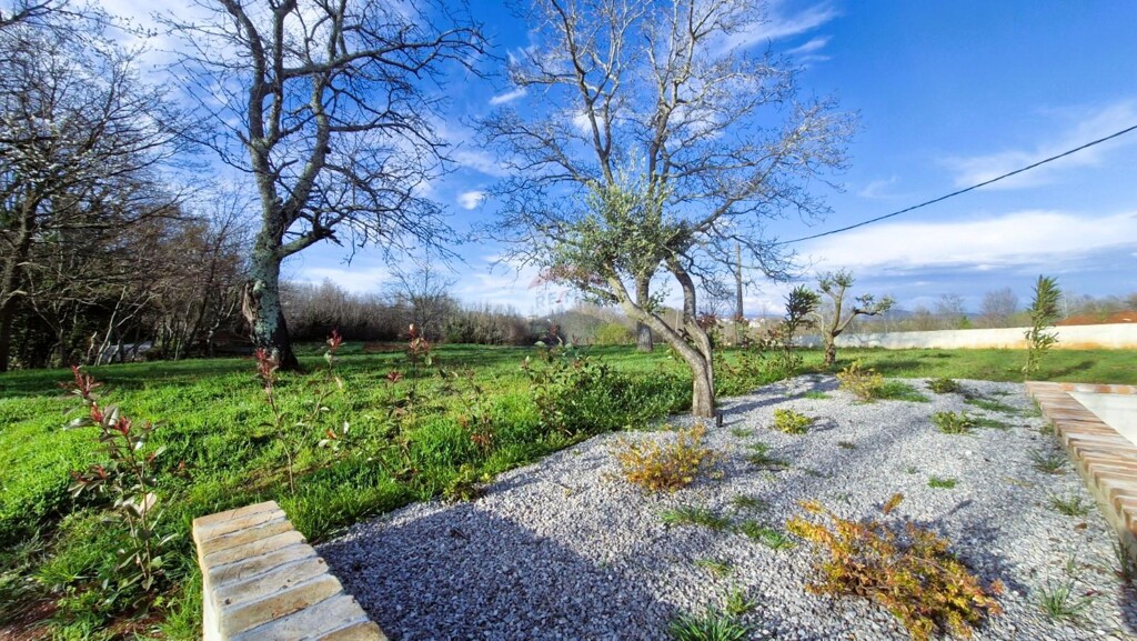 Image 6336416 - 3