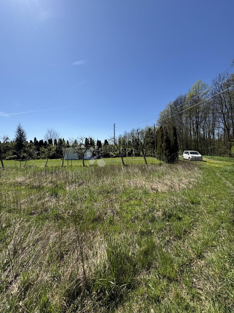 Image 6336938 - 5