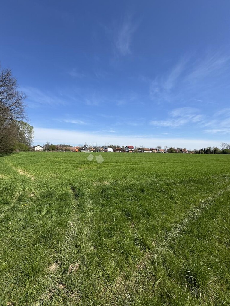 Image 6336938 - 6