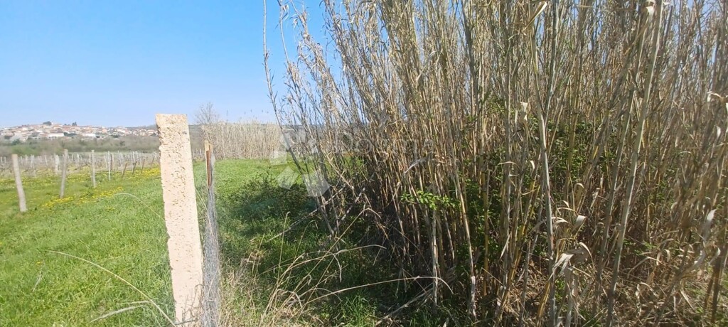 Image 6336939 - 3