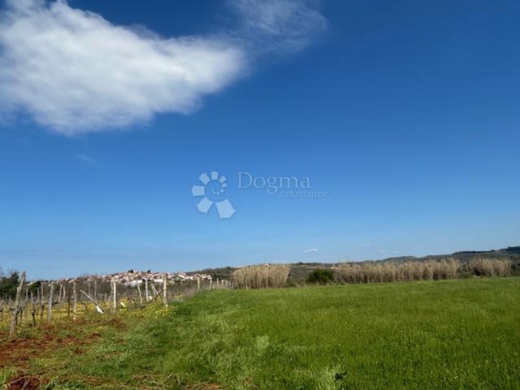 Image 6336939 - 1