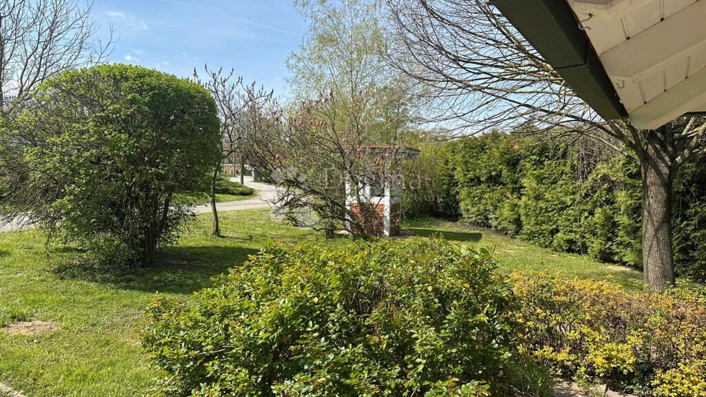 Image 6336948 - 21
