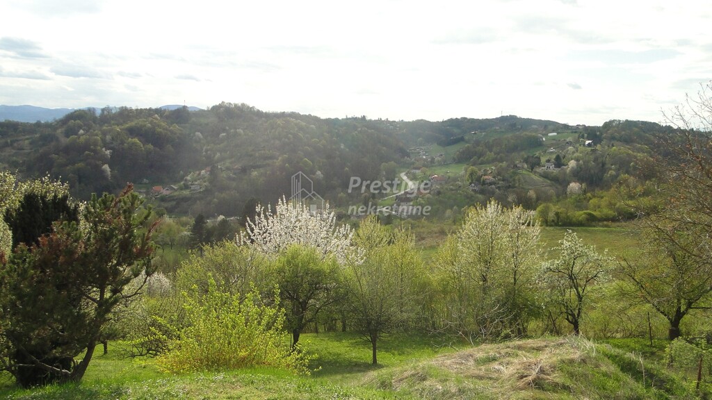 Image 6336965 - 2