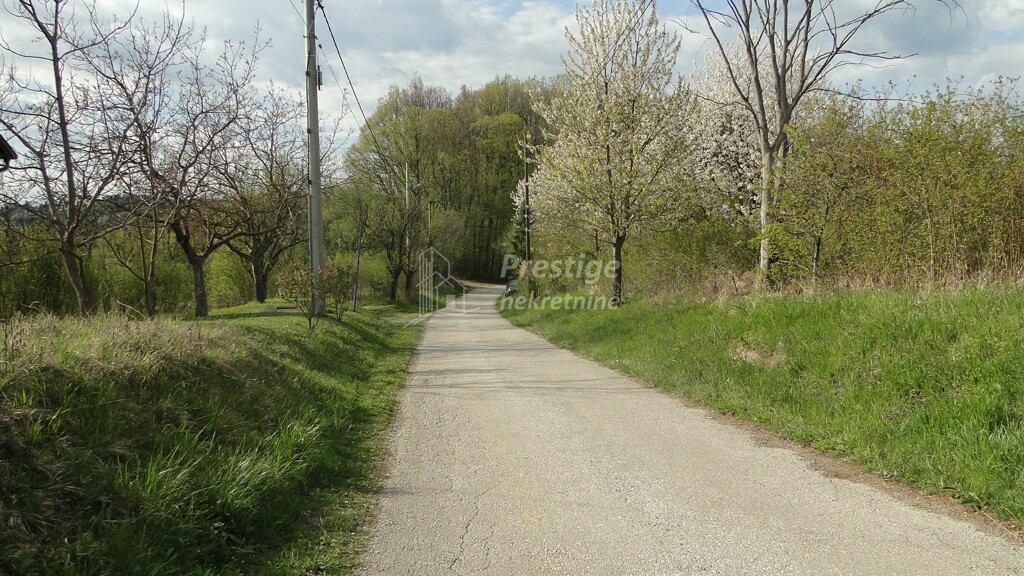 Image 6336965 - 11