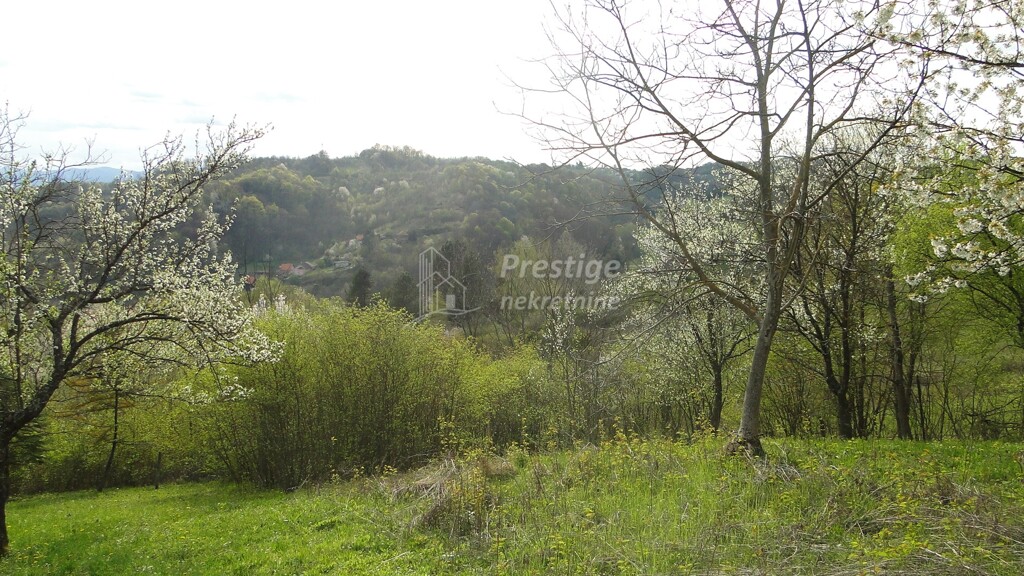 Image 6336965 - 6