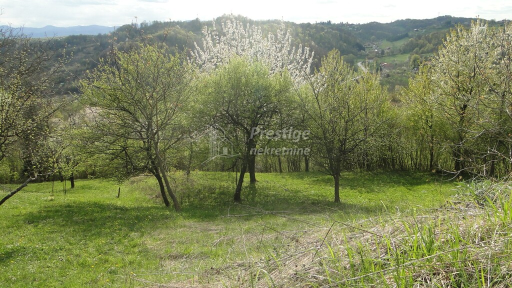 Image 6336965 - 8