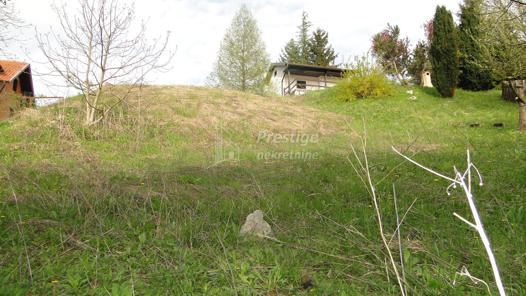 Image 6336965 - 7