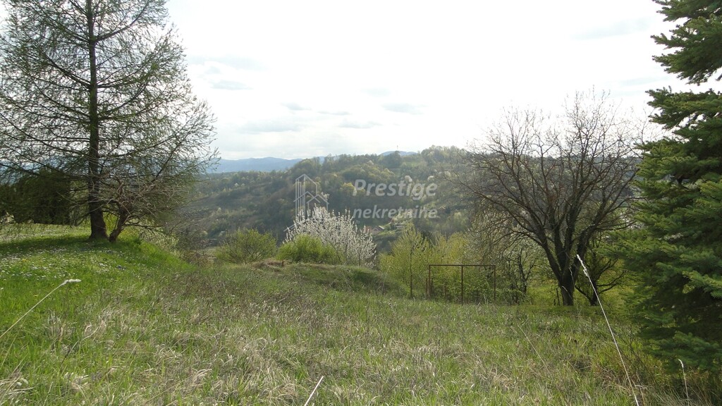 Image 6336965 - 10