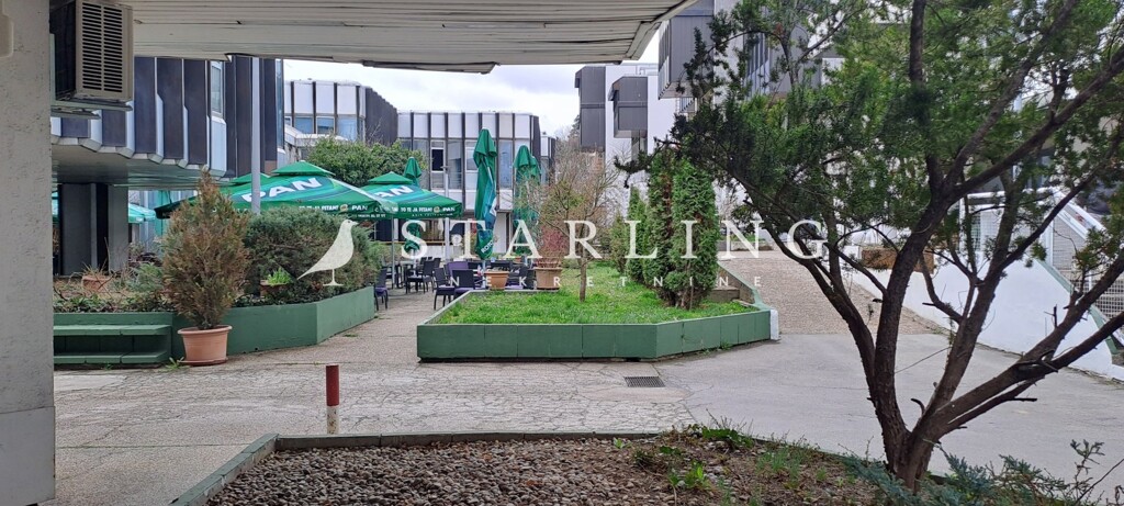 Image 6336968 - 5