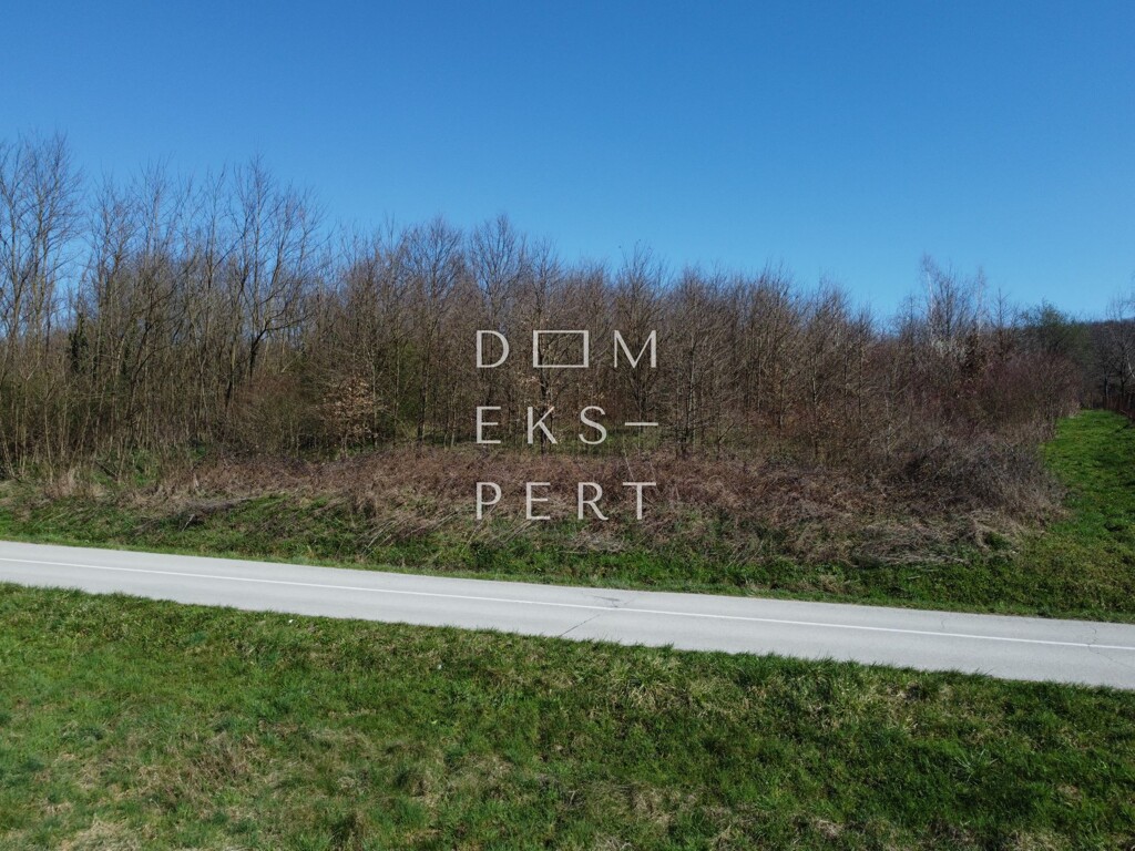 Image 6336976 - 3