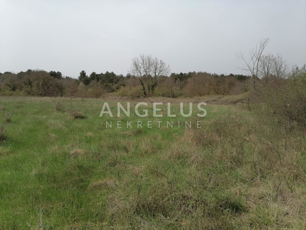 Image 6337041 - 1