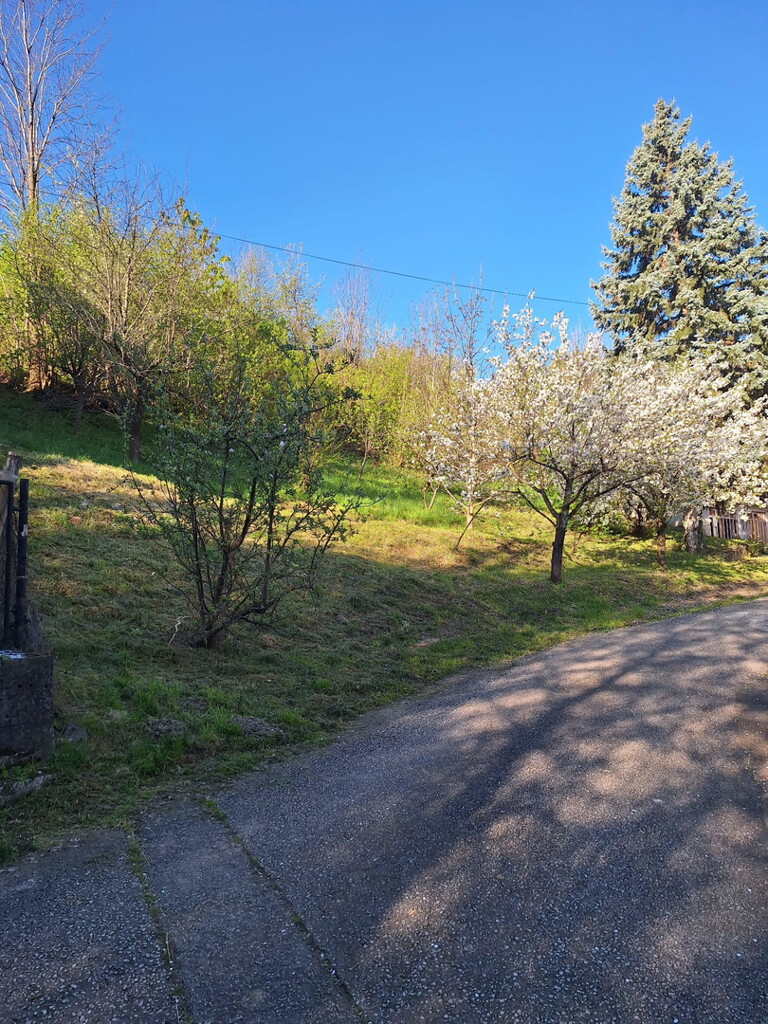 Image 6337080 - 19