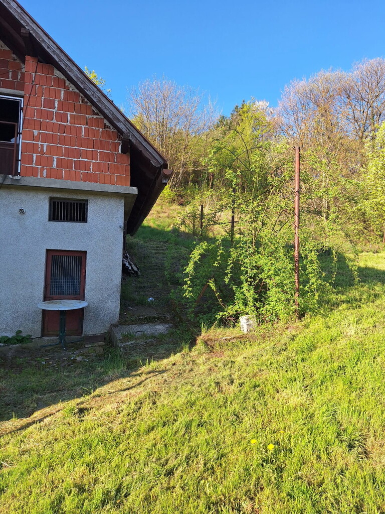 Image 6337080 - 11