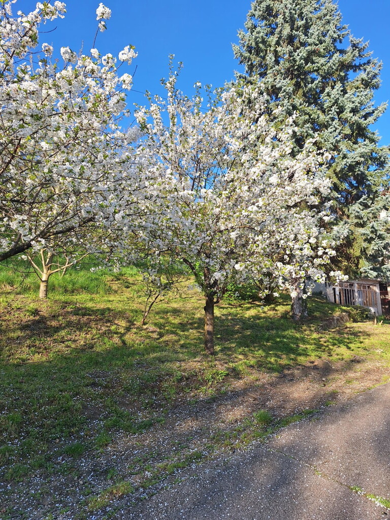 Image 6337080 - 18