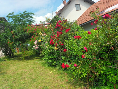 Thumbnail 6337080 - 4