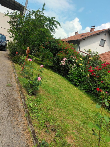 Thumbnail 6337080 - 3