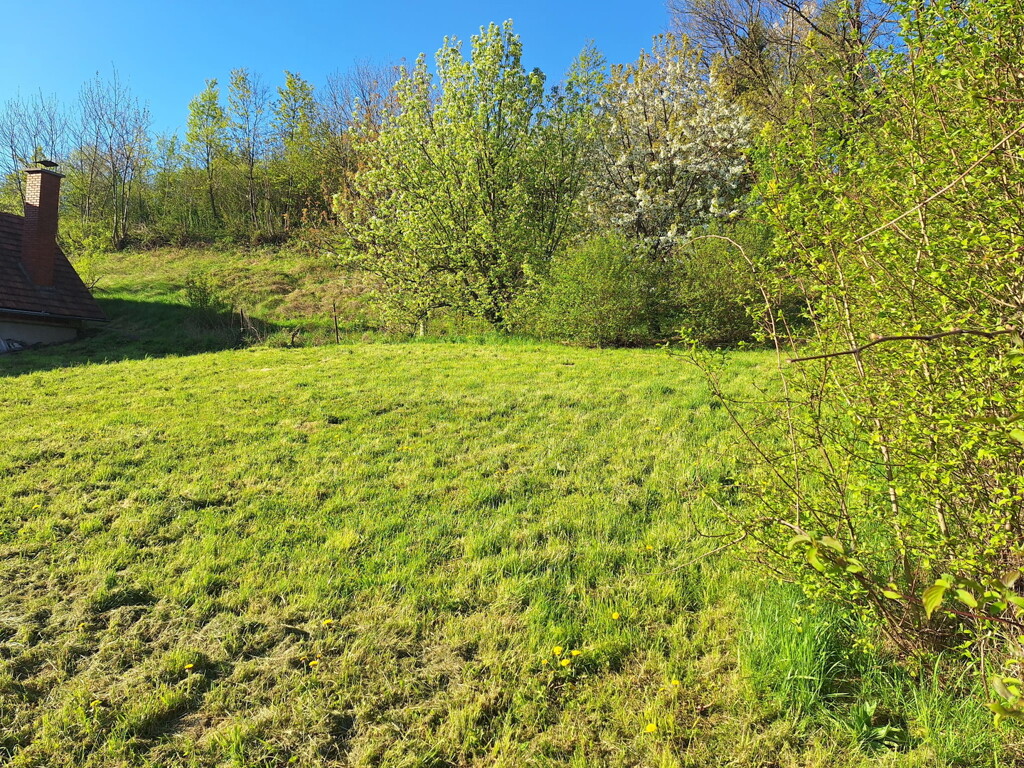 Image 6337080 - 8