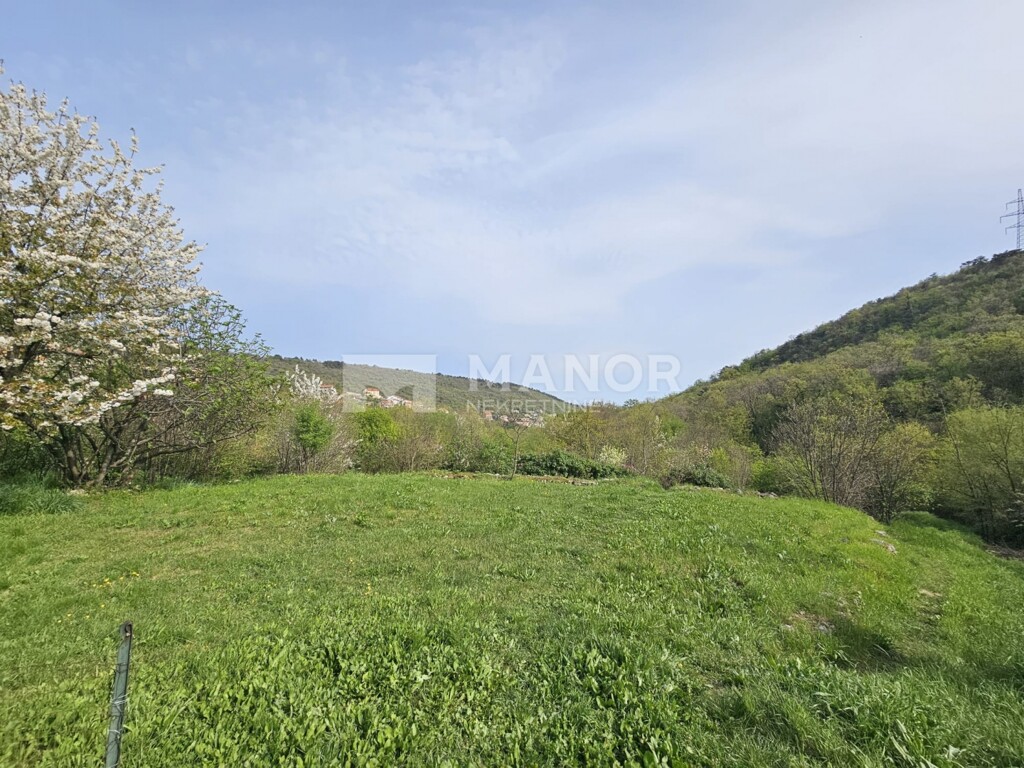 Image 6337096 - 1