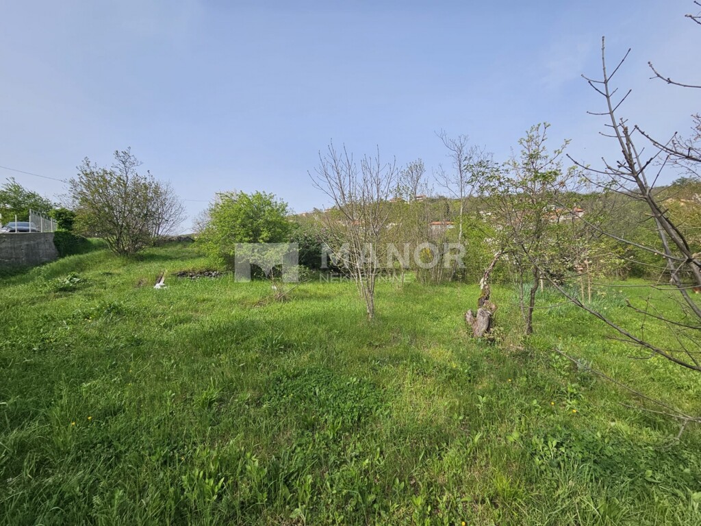 Image 6337096 - 2