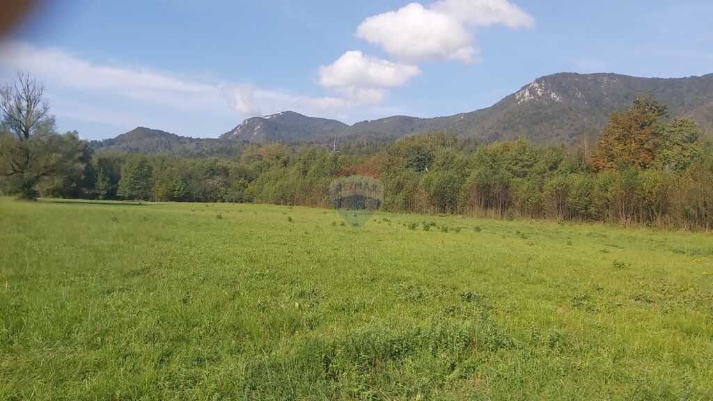 Image 6337112 - 5