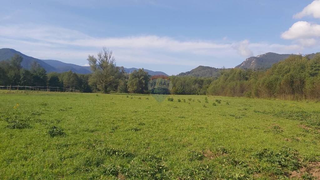 Image 6337112 - 4