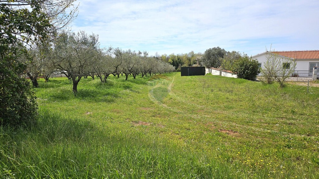 Image 6337114 - 4