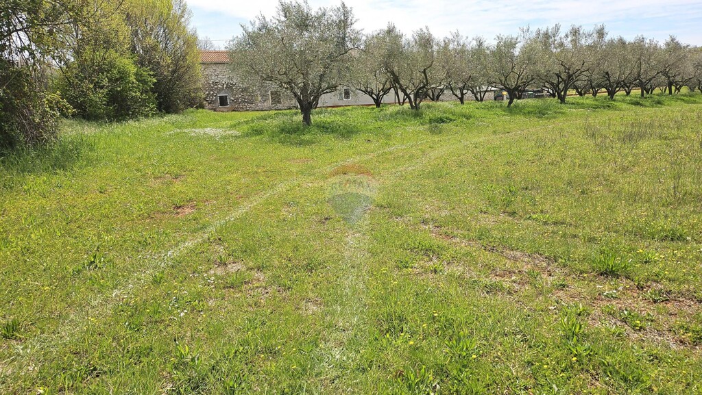 Image 6337114 - 2