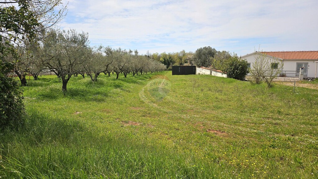 Image 6337114 - 3