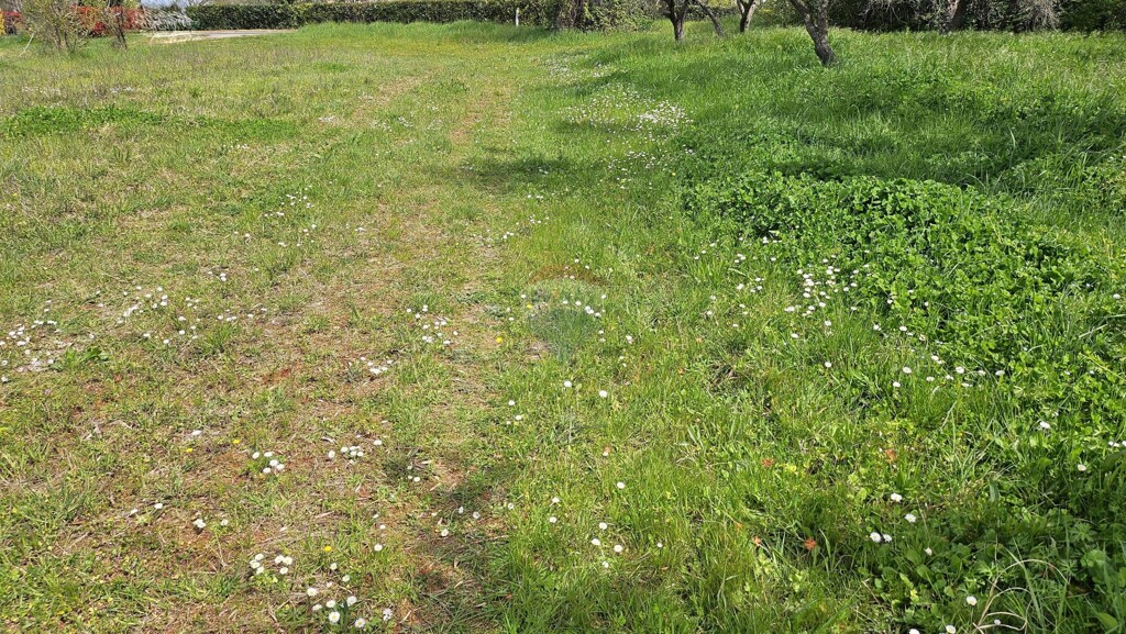 Image 6337114 - 5
