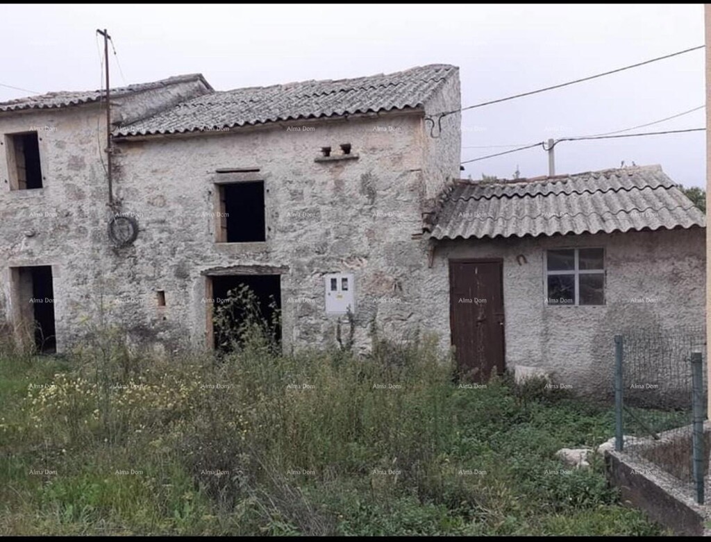Image 6337299 - 2