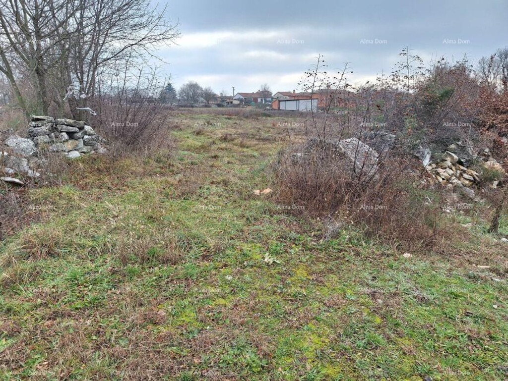 Image 6337302 - 6