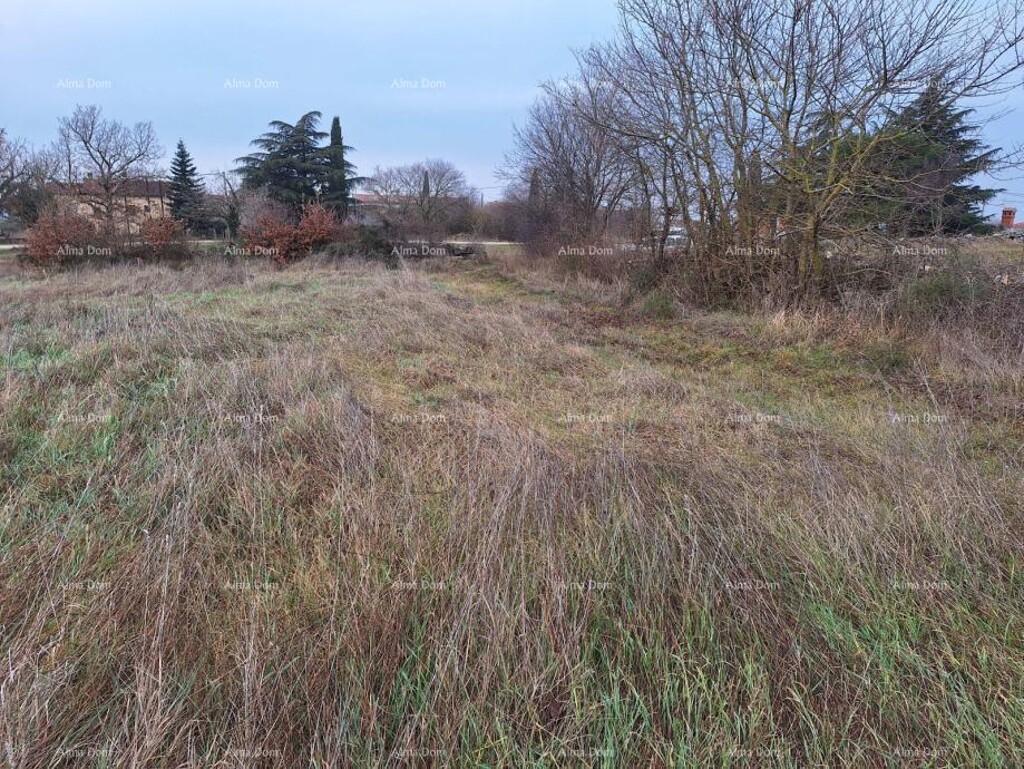 Image 6337302 - 9