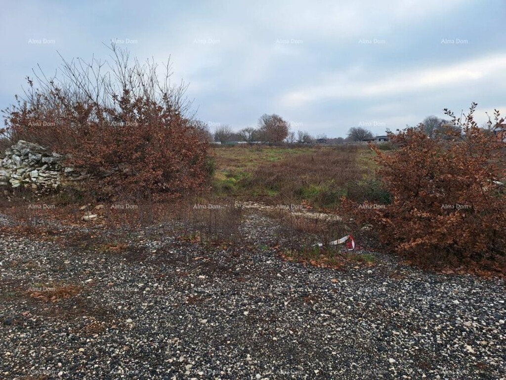 Image 6337302 - 4