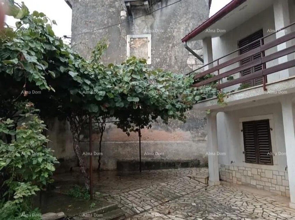 Image 6337310 - 2