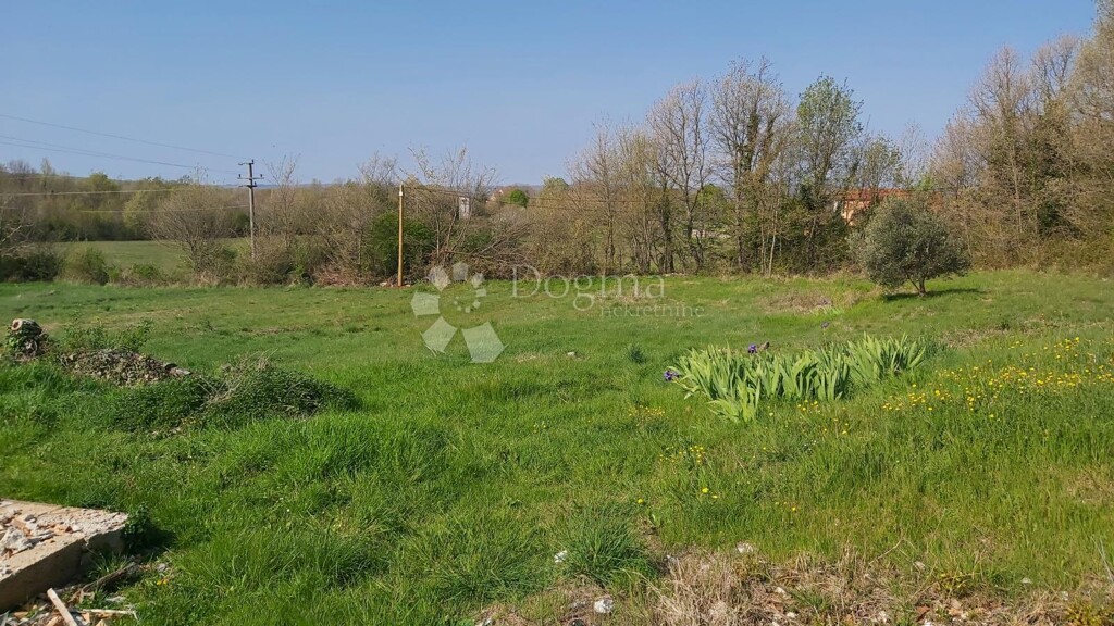 Image 6337338 - 19