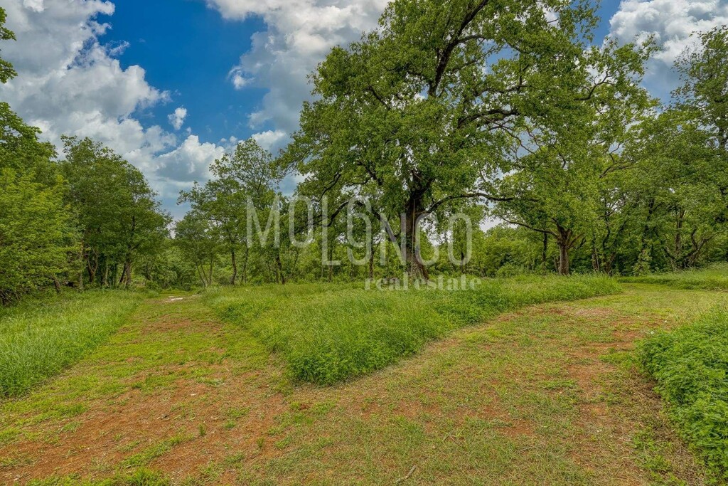Image 6337363 - 15