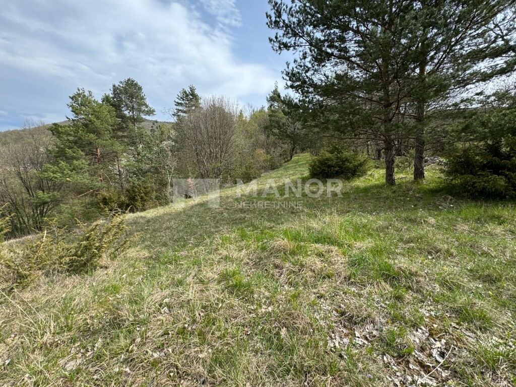 Image 6337378 - 2