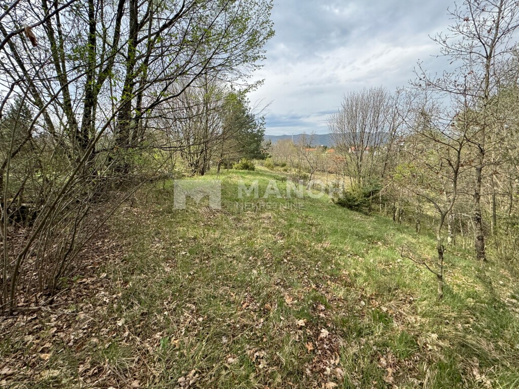 Image 6337378 - 1